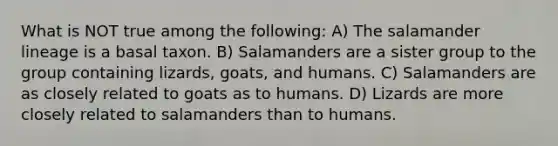 What is NOT true among the following: A) The salamander lineage is a basal taxon. B) Salamanders are a sister group to the group containing lizards, goats, and humans. C) Salamanders are as closely related to goats as to humans. D) Lizards are more closely related to salamanders than to humans.