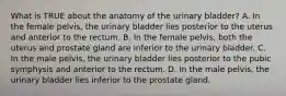 What is TRUE about the anatomy of the urinary bladder? A. In the female pelvis, the urinary bladder lies posterior to the uterus and anterior to the rectum. B. In the female pelvis, both the uterus and prostate gland are inferior to the urinary bladder. C. In the male pelvis, the urinary bladder lies posterior to the pubic symphysis and anterior to the rectum. D. In the male pelvis, the urinary bladder lies inferior to the prostate gland.