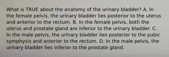 What is TRUE about the anatomy of the <a href='https://www.questionai.com/knowledge/kb9SdfFdD9-urinary-bladder' class='anchor-knowledge'>urinary bladder</a>? A. In the female pelvis, the urinary bladder lies posterior to the uterus and anterior to the rectum. B. In the female pelvis, both the uterus and prostate gland are inferior to the urinary bladder. C. In the male pelvis, the urinary bladder lies posterior to the pubic symphysis and anterior to the rectum. D. In the male pelvis, the urinary bladder lies inferior to the prostate gland.