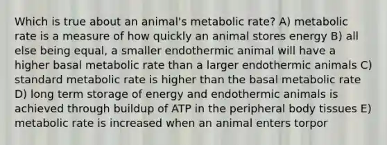 Which is true about an animal's metabolic rate? A) metabolic rate is a measure of how quickly an animal stores energy B) all else being equal, a smaller endothermic animal will have a higher basal metabolic rate than a larger endothermic animals C) standard metabolic rate is higher than the basal metabolic rate D) long term storage of energy and endothermic animals is achieved through buildup of ATP in the peripheral body tissues E) metabolic rate is increased when an animal enters torpor