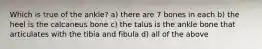 Which is true of the ankle? a) there are 7 bones in each b) the heel is the calcaneus bone c) the talus is the ankle bone that articulates with the tibia and fibula d) all of the above