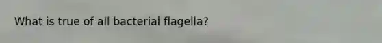 What is true of all bacterial flagella?