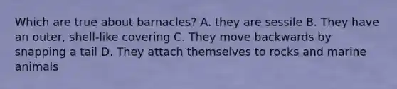Which are true about barnacles? A. they are sessile B. They have an outer, shell-like covering C. They move backwards by snapping a tail D. They attach themselves to rocks and marine animals
