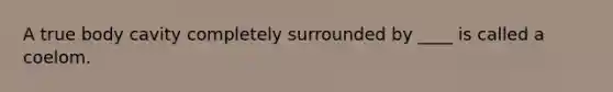 A true body cavity completely surrounded by ____ is called a coelom.
