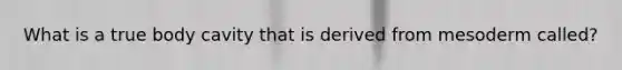 What is a true body cavity that is derived from mesoderm called?