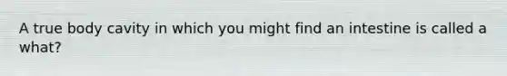 A true body cavity in which you might find an intestine is called a what?
