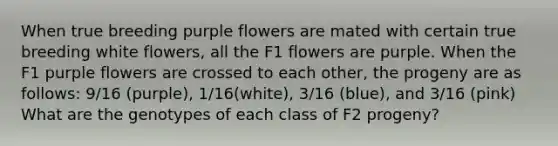 When true breeding purple flowers are mated with certain true breeding white flowers, all the F1 flowers are purple. When the F1 purple flowers are crossed to each other, the progeny are as follows: 9/16 (purple), 1/16(white), 3/16 (blue), and 3/16 (pink) What are the genotypes of each class of F2 progeny?