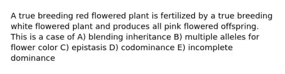 A true breeding red flowered plant is fertilized by a true breeding white flowered plant and produces all pink flowered offspring. This is a case of A) blending inheritance B) multiple alleles for flower color C) epistasis D) codominance E) incomplete dominance