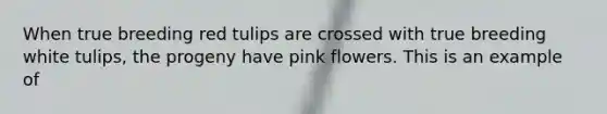 When true breeding red tulips are crossed with true breeding white tulips, the progeny have pink flowers. This is an example of