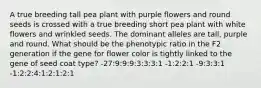 A true breeding tall pea plant with purple flowers and round seeds is crossed with a true breeding short pea plant with white flowers and wrinkled seeds. The dominant alleles are tall, purple and round. What should be the phenotypic ratio in the F2 generation if the gene for flower color is tightly linked to the gene of seed coat type? -27:9:9:9:3:3:3:1 -1:2:2:1 -9:3:3:1 -1:2:2:4:1:2:1:2:1