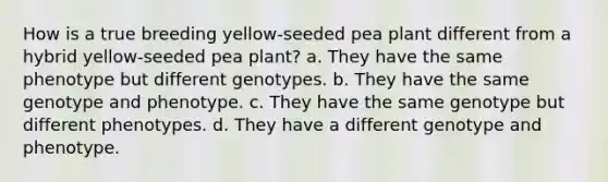 How is a true breeding yellow-seeded pea plant different from a hybrid yellow-seeded pea plant? a. They have the same phenotype but different genotypes. b. They have the same genotype and phenotype. c. They have the same genotype but different phenotypes. d. They have a different genotype and phenotype.