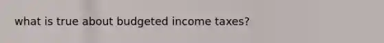 what is true about budgeted income taxes?