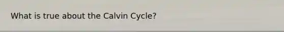 What is true about the Calvin Cycle?