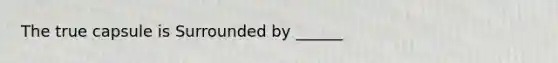 The true capsule is Surrounded by ______