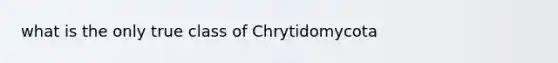 what is the only true class of Chrytidomycota