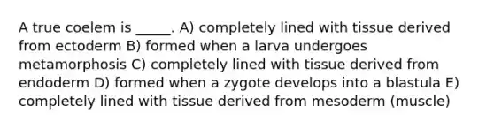 A true coelem is _____. A) completely lined with tissue derived from ectoderm B) formed when a larva undergoes metamorphosis C) completely lined with tissue derived from endoderm D) formed when a zygote develops into a blastula E) completely lined with tissue derived from mesoderm (muscle)