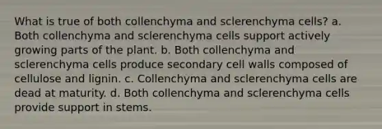 What is true of both collenchyma and sclerenchyma cells? a. Both collenchyma and sclerenchyma cells support actively growing parts of the plant. b. Both collenchyma and sclerenchyma cells produce secondary cell walls composed of cellulose and lignin. c. Collenchyma and sclerenchyma cells are dead at maturity. d. Both collenchyma and sclerenchyma cells provide support in stems.