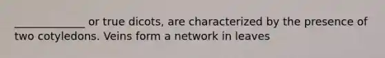 _____________ or true dicots, are characterized by the presence of two cotyledons. Veins form a network in leaves