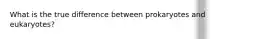 What is the true difference between prokaryotes and eukaryotes?