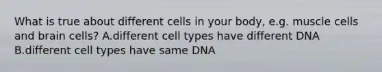 What is true about different cells in your body, e.g. muscle cells and brain cells? A.different cell types have different DNA B.different cell types have same DNA