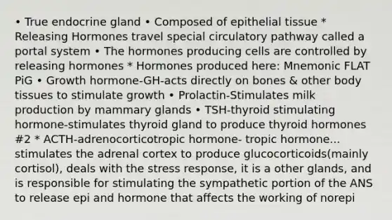 • True endocrine gland • Composed of epithelial tissue * Releasing Hormones travel special circulatory pathway called a portal system • The hormones producing cells are controlled by releasing hormones * Hormones produced here: Mnemonic FLAT PiG • Growth hormone-GH-acts directly on bones & other body tissues to stimulate growth • Prolactin-Stimulates milk production by mammary glands • TSH-thyroid stimulating hormone-stimulates thyroid gland to produce thyroid hormones #2 * ACTH-adrenocorticotropic hormone- tropic hormone... stimulates the adrenal cortex to produce glucocorticoids(mainly cortisol), deals with the stress response, it is a other glands, and is responsible for stimulating the sympathetic portion of the ANS to release epi and hormone that affects the working of norepi