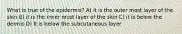 What is true of the epidermis? A) it is the outer most layer of the skin B) it is the inner most layer of the skin C) it is below the dermis D) It is below the subcutaneous layer