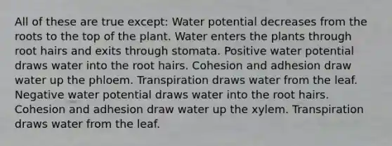 All of these are true except: Water potential decreases from the roots to the top of the plant. Water enters the plants through root hairs and exits through stomata. Positive water potential draws water into the root hairs. Cohesion and adhesion draw water up the phloem. Transpiration draws water from the leaf. Negative water potential draws water into the root hairs. Cohesion and adhesion draw water up the xylem. Transpiration draws water from the leaf.