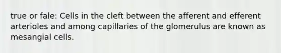 true or fale: Cells in the cleft between the afferent and efferent arterioles and among capillaries of the glomerulus are known as mesangial cells.