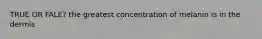 TRUE OR FALE? the greatest concentration of melanin is in the dermis