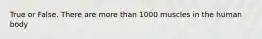 True or False. There are more than 1000 muscles in the human body