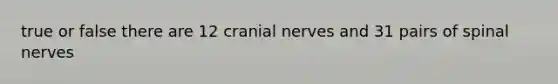 true or false there are 12 cranial nerves and 31 pairs of spinal nerves