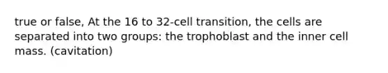 true or false, At the 16 to 32-cell transition, the cells are separated into two groups: the trophoblast and the inner cell mass. (cavitation)