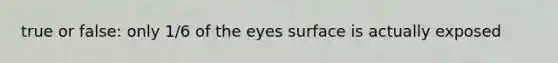 true or false: only 1/6 of the eyes surface is actually exposed