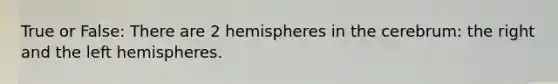 True or False: There are 2 hemispheres in the cerebrum: the right and the left hemispheres.