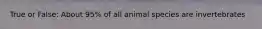 True or False: About 95% of all animal species are invertebrates