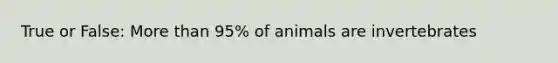 True or False: <a href='https://www.questionai.com/knowledge/keWHlEPx42-more-than' class='anchor-knowledge'>more than</a> 95% of animals are invertebrates