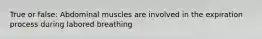 True or false: Abdominal muscles are involved in the expiration process during labored breathing