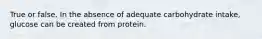 True or false. In the absence of adequate carbohydrate intake, glucose can be created from protein.