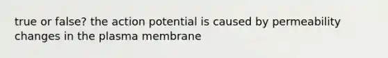 true or false? the action potential is caused by permeability changes in the plasma membrane