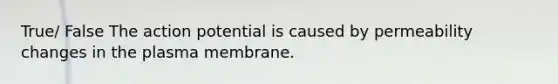 True/ False The action potential is caused by permeability changes in the plasma membrane.