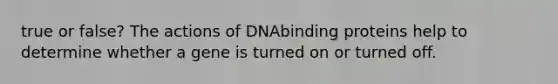 true or false? The actions of DNAbinding proteins help to determine whether a gene is turned on or turned off.