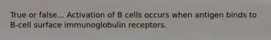 True or false... Activation of B cells occurs when antigen binds to B-cell surface immunoglobulin receptors.