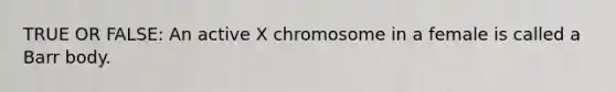 TRUE OR FALSE: An active X chromosome in a female is called a Barr body.