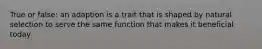 True or false: an adaption is a trait that is shaped by natural selection to serve the same function that makes it beneficial today