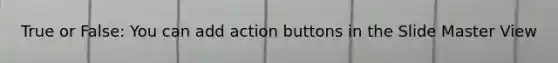 True or False: You can add action buttons in the Slide Master View