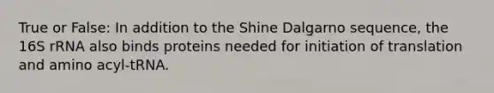 True or False: In addition to the Shine Dalgarno sequence, the 16S rRNA also binds proteins needed for initiation of translation and amino acyl-tRNA.