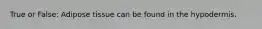 True or False: Adipose tissue can be found in the hypodermis.