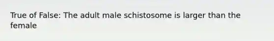 True of False: The adult male schistosome is larger than the female