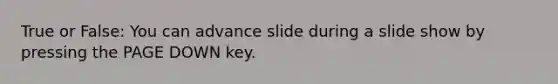 True or False: You can advance slide during a slide show by pressing the PAGE DOWN key.