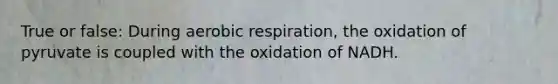 True or false: During aerobic respiration, the oxidation of pyruvate is coupled with the oxidation of NADH.